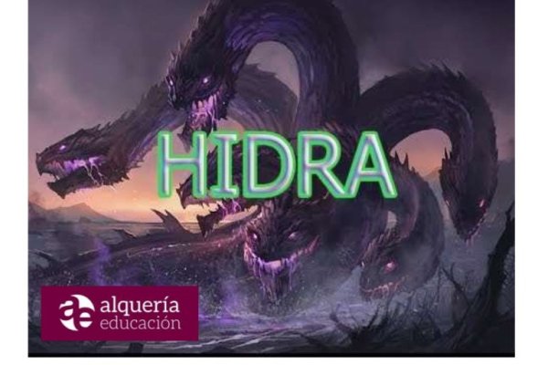 Kraken актуальные ссылки официальный сайт