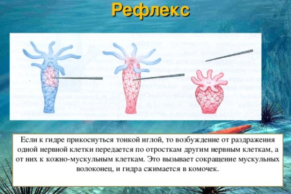 Кракен 18ат
